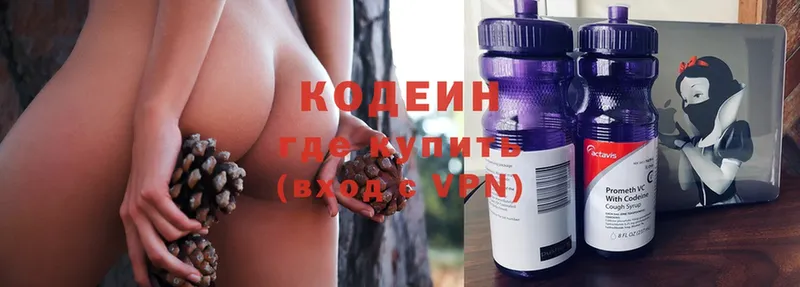 kraken вход  Муром  Кодеин Purple Drank 