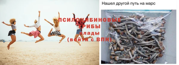 крисы Михайлов