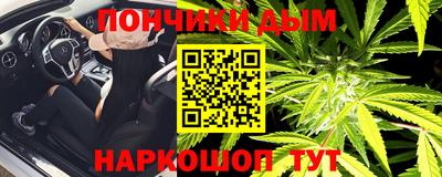 СК Гатчина