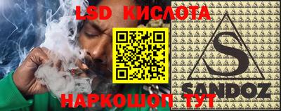 СК Гатчина