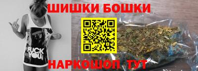 СК Гатчина