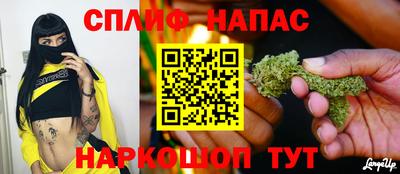 спиды Гагарин