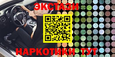СК Гатчина