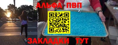 СК Гатчина