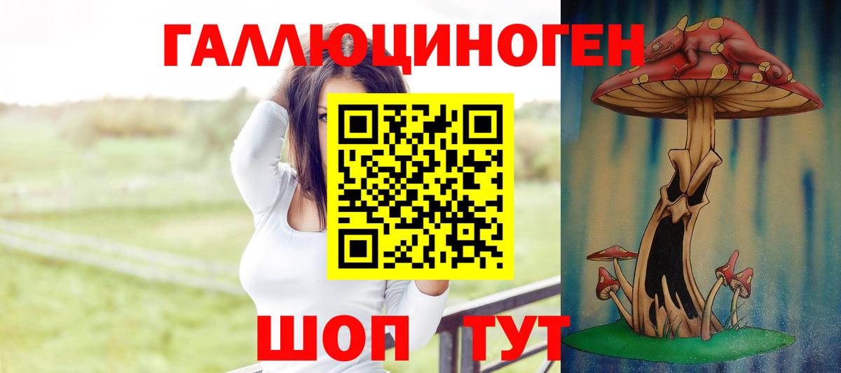 Галлюциногенные грибы Psilocybine cubensis  Муром 