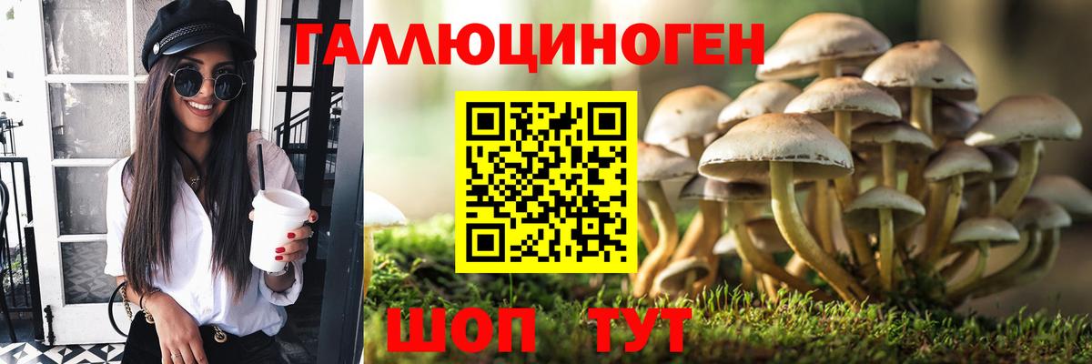 Псилоцибиновые грибы Magic Shrooms  Вход с VPN  Муром  Галлюциногенные грибы Cubensis 